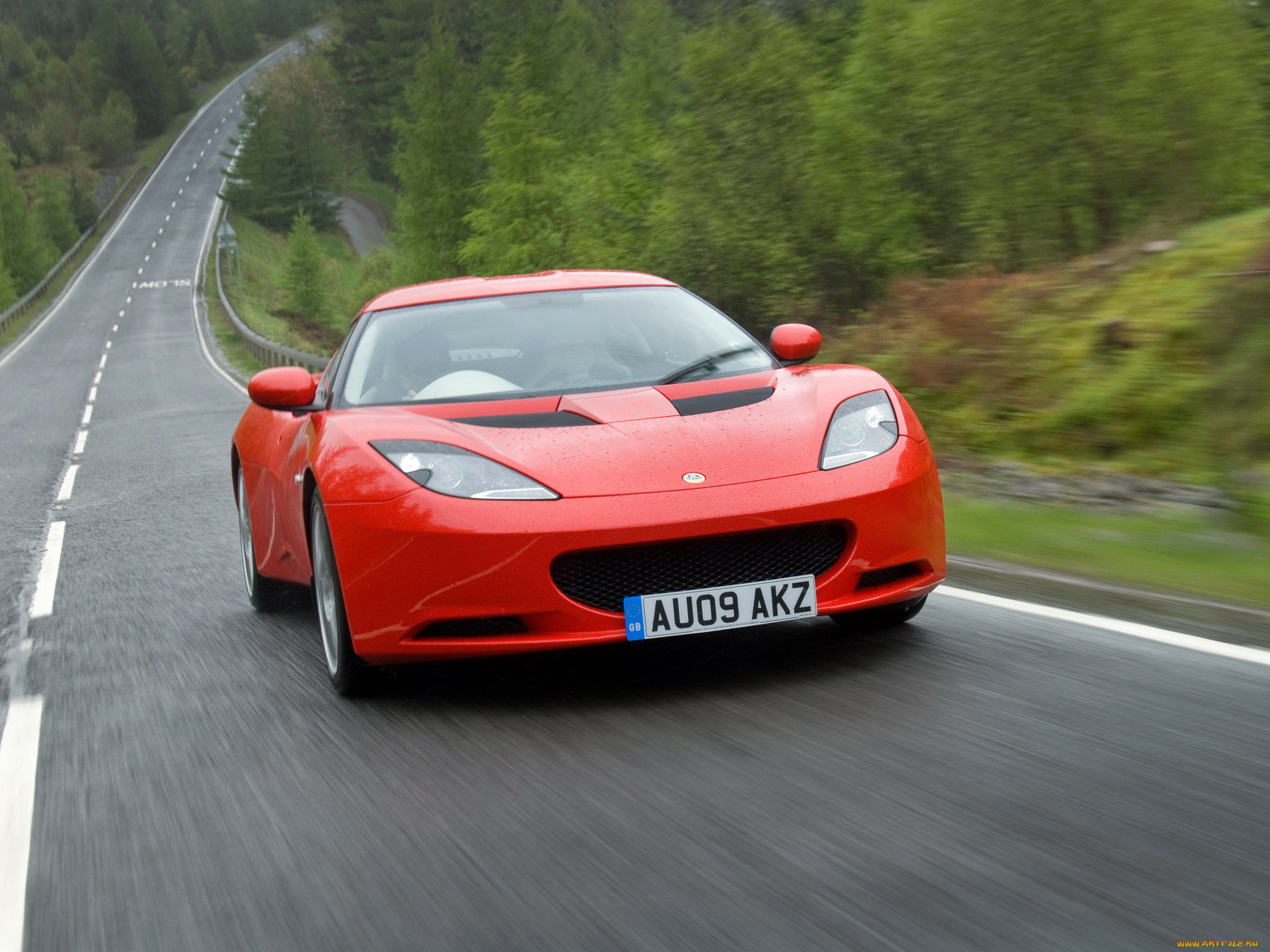 , lotus